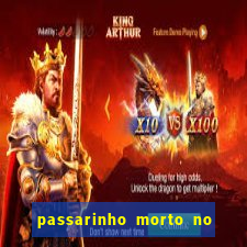 passarinho morto no quintal significado espiritual